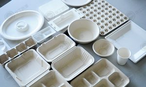 560亿餐饮外卖餐具市场对乐动登陆入口-乐动online(中国)
有何要求?插图3 560亿餐饮外卖餐具市场对乐动登陆入口-乐动online(中国)
有何要求?插图3
